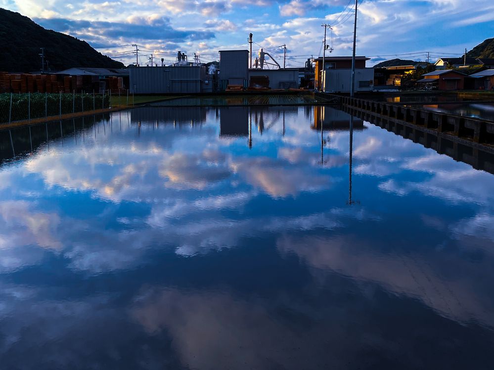 Photograph by KOHAGI