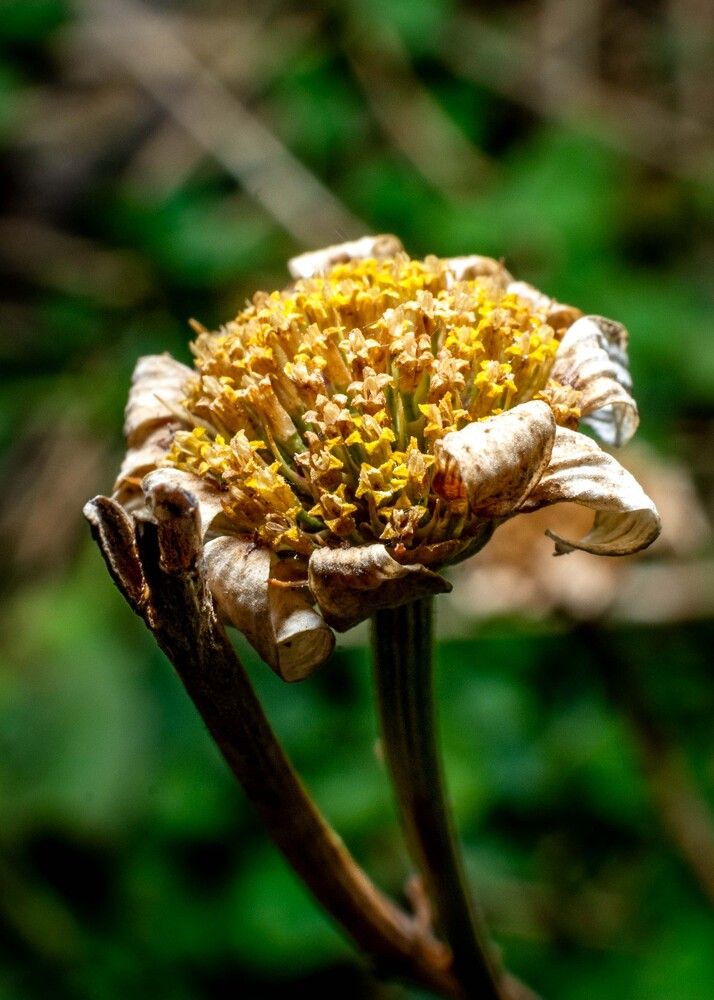 Photograph by Vahid Sabet