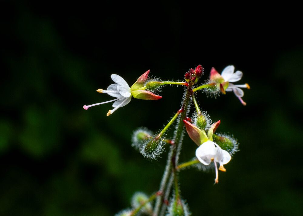 Photograph by Vahid Sabet