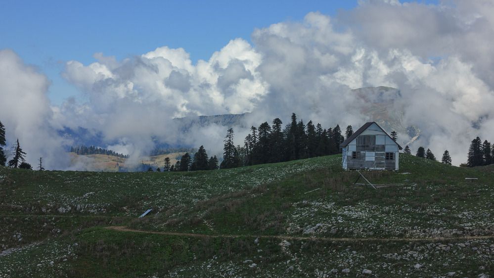 Photograph by Елена Абрамова