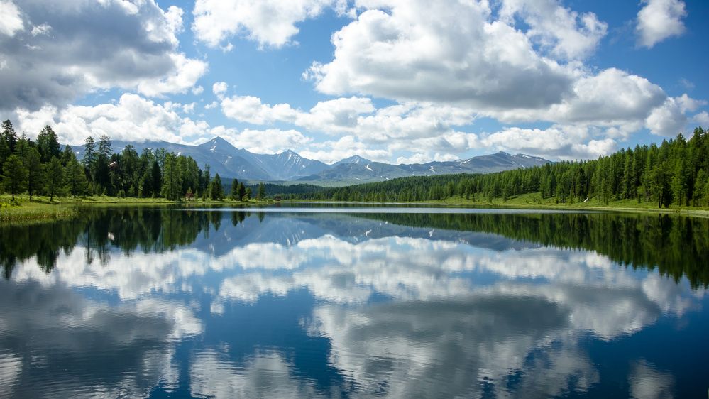 Photograph by Елена Абрамова