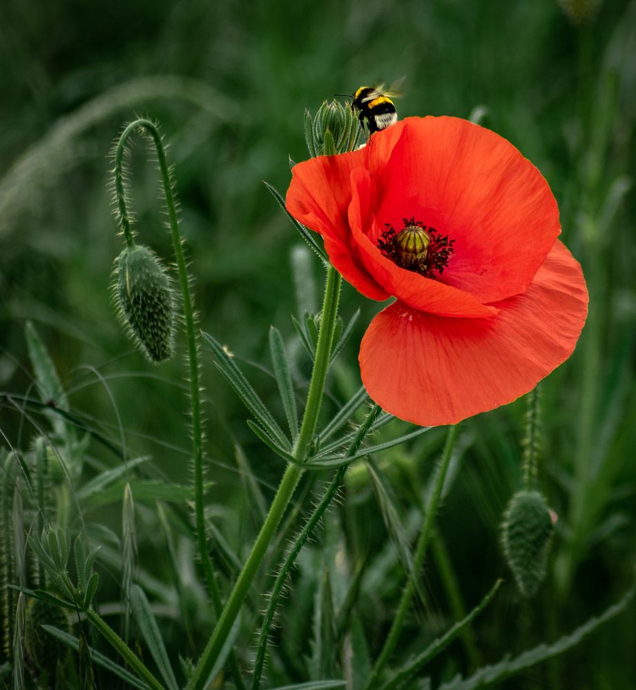 Photograph by Vitalii Kaznin