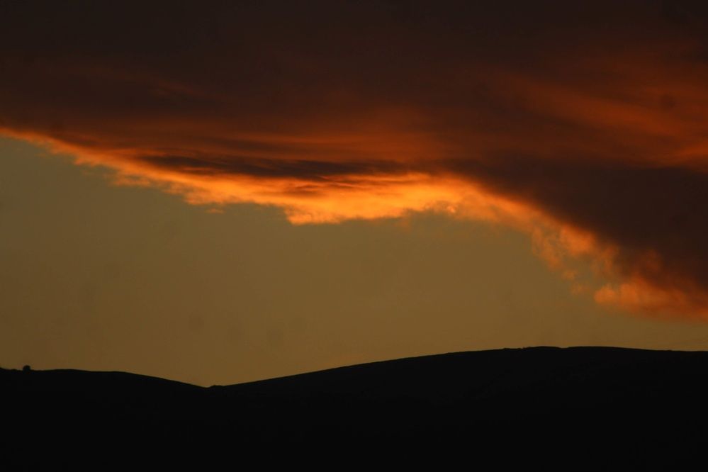 Фотография автора Mariami Sanishvili