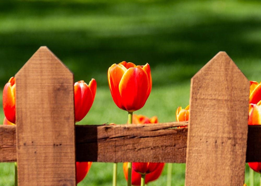 Photograph by Vahid Sabet