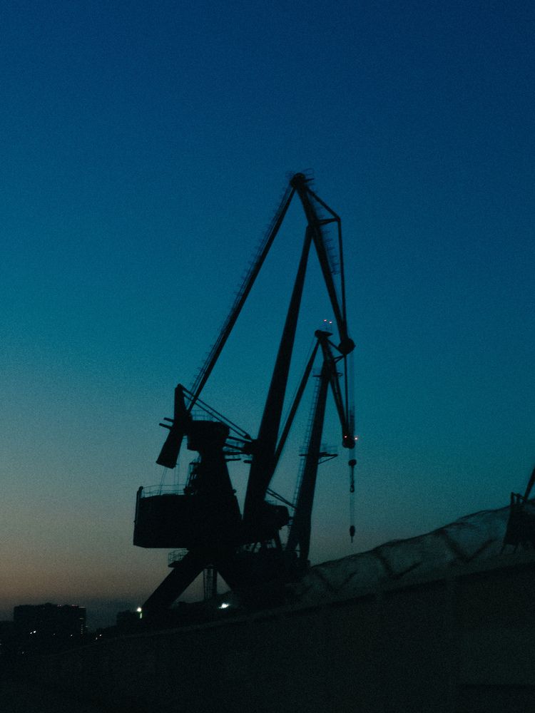 Фотография автора Анна Рыжикова