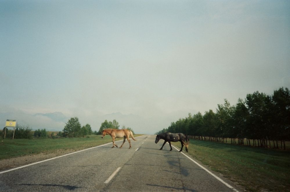 Photograph by Misha Khazov