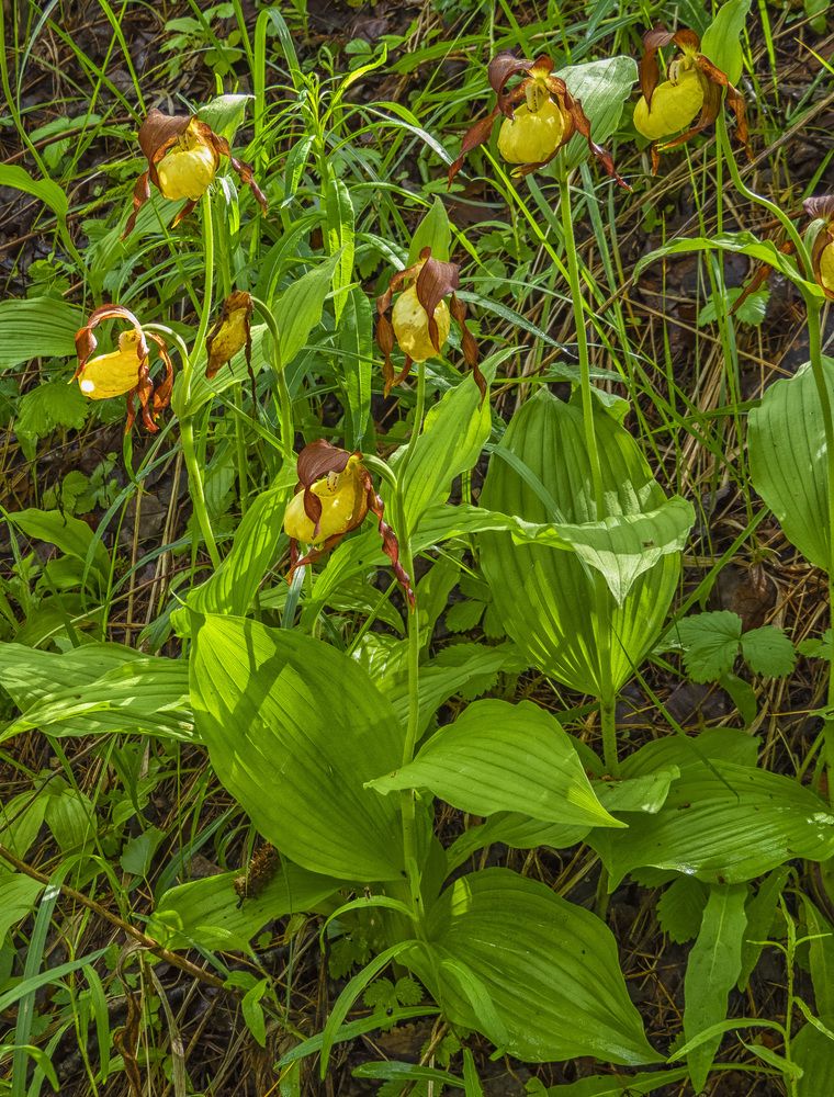 Photograph by Цветков Сергей