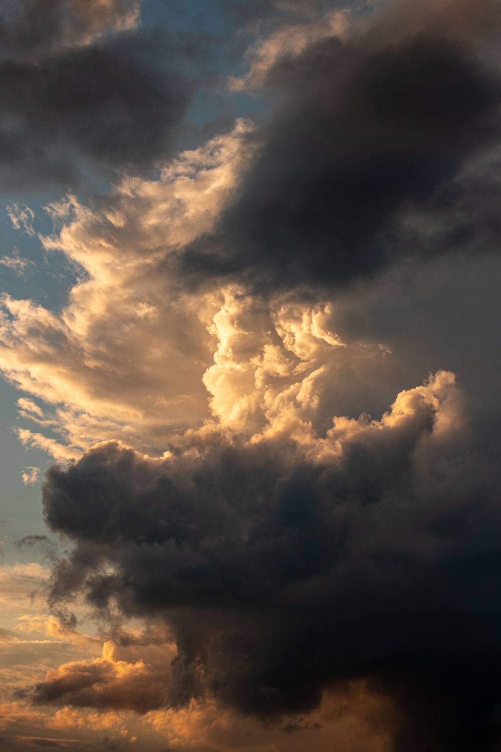 Фотография #12503029