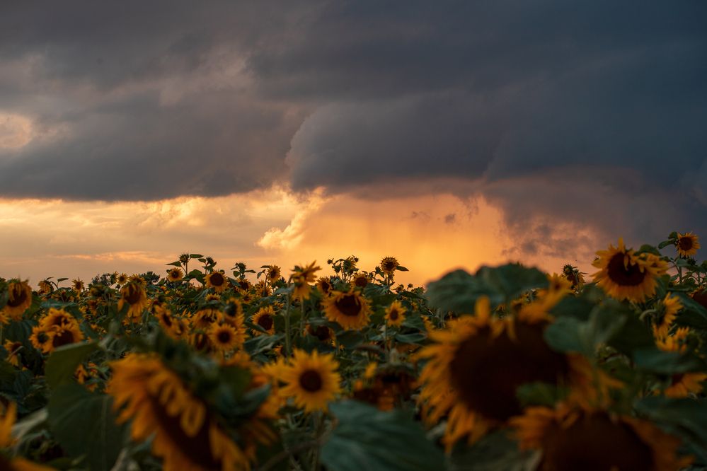 Фотография автора Сергей Третьяков