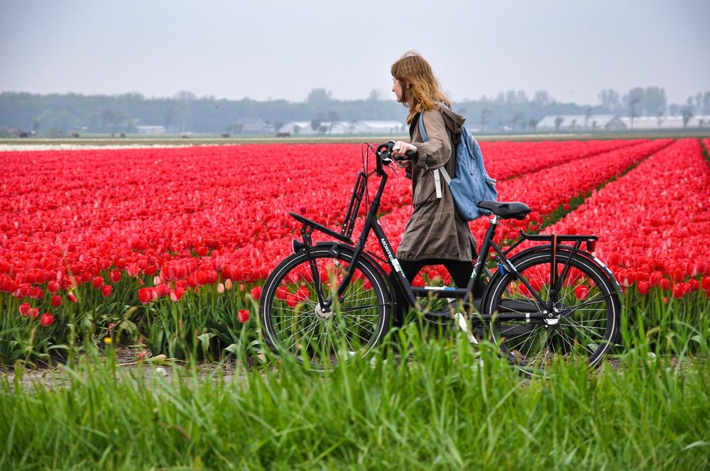 Фотография автора Ковяк Сергей Васильевич