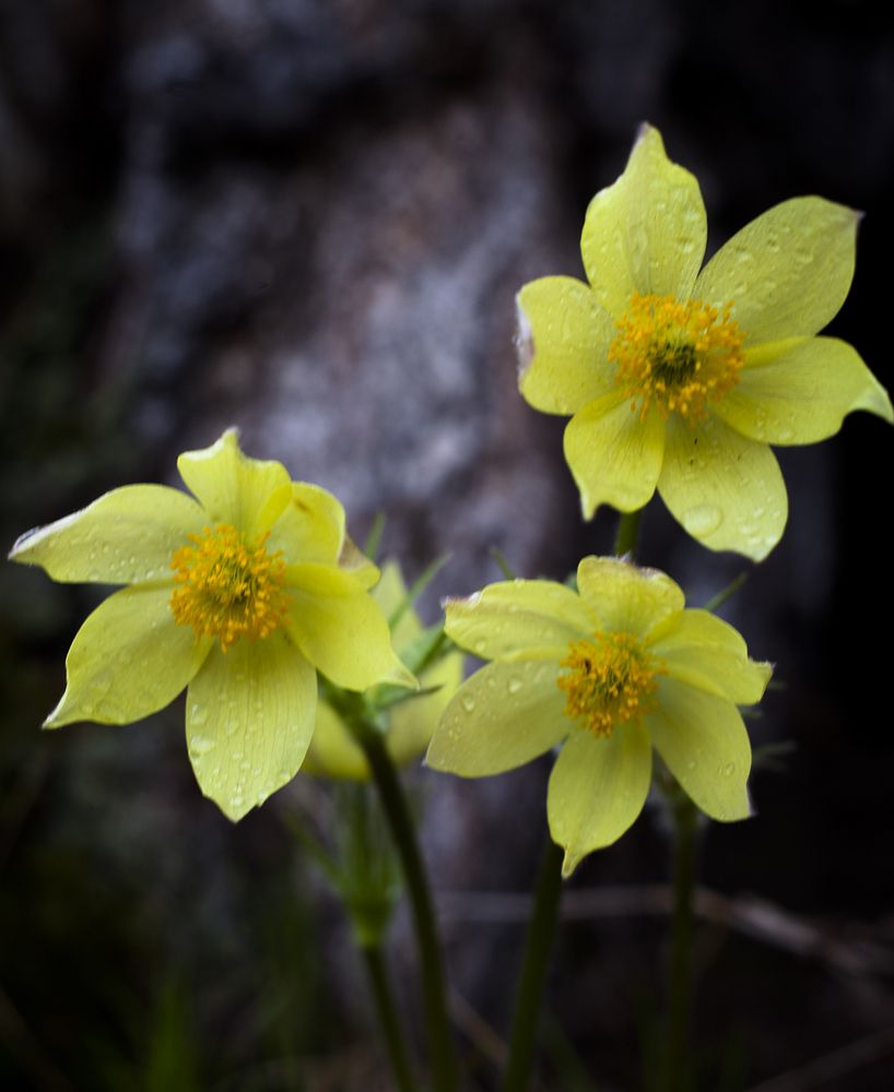 Photograph by Панюшкин Андрей