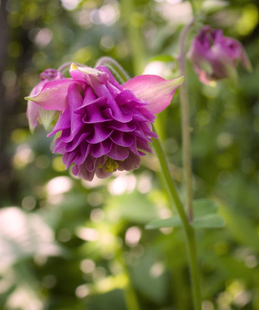 Photograph by Панюшкин Андрей