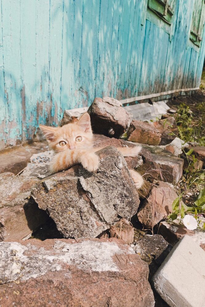 Photograph by Савина Анастасия Николаевна