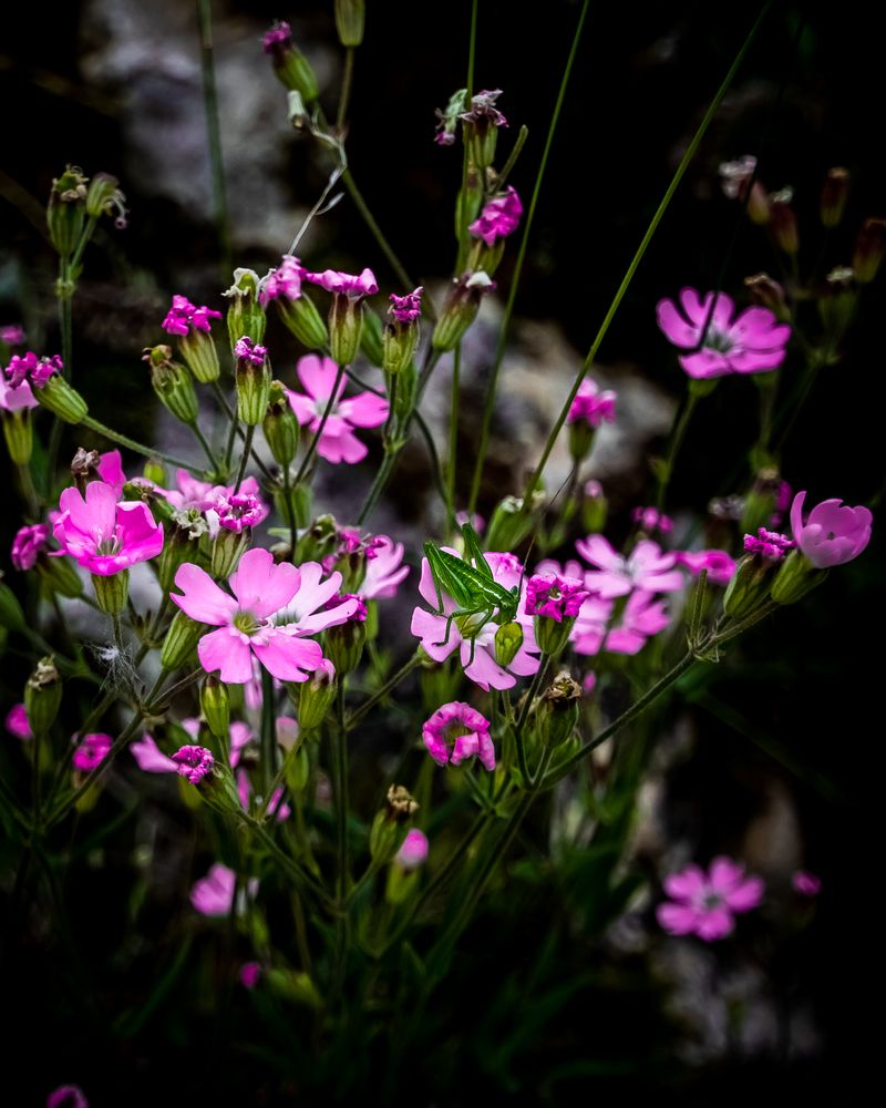 Фотография автора Сергей Третьяков