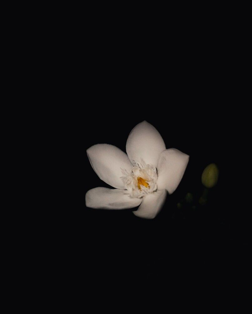 Photograph by Kumaran Dinushan