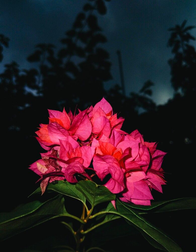 Photograph by Kumaran Dinushan