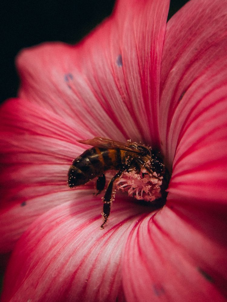 Photograph by Алёна Горошко