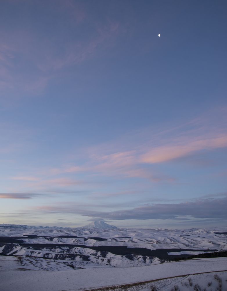 Photograph by Дина Железнова