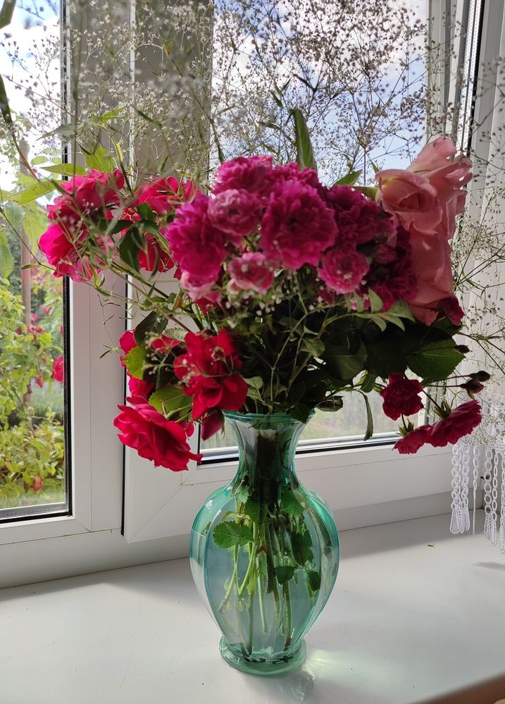 Photograph by Ирина К.