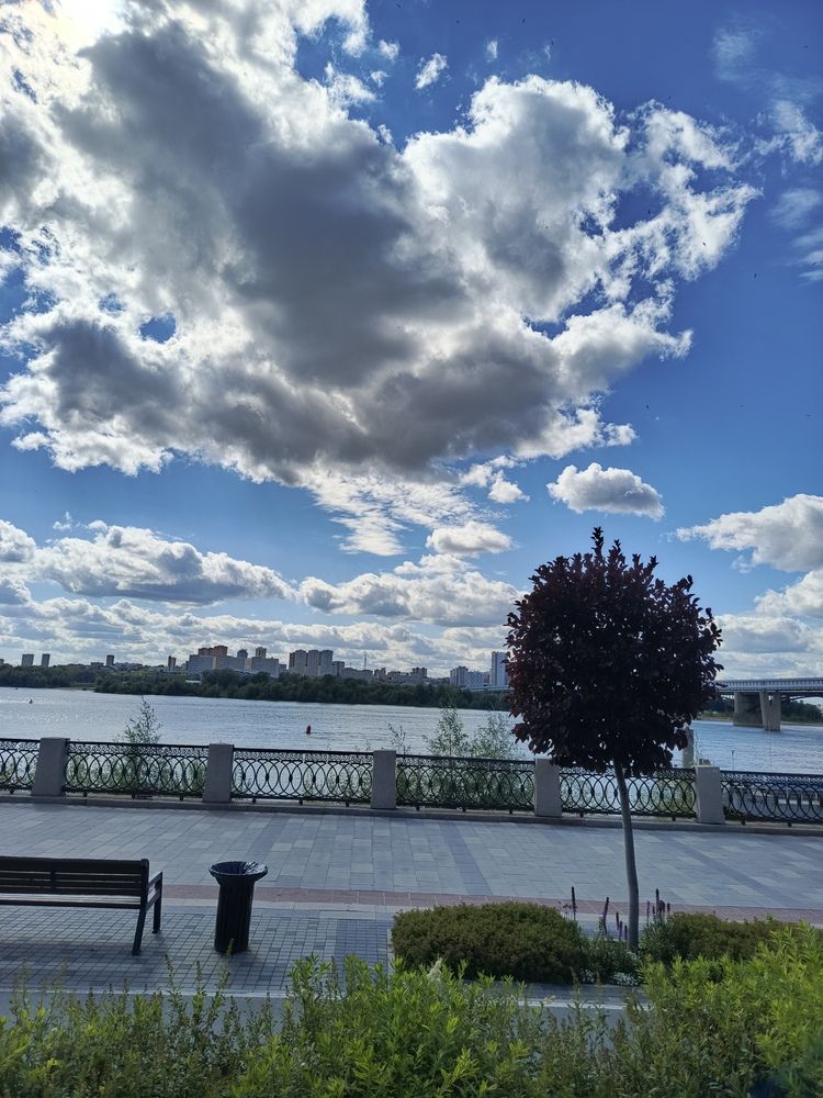 Фотография автора Ольга Петрова