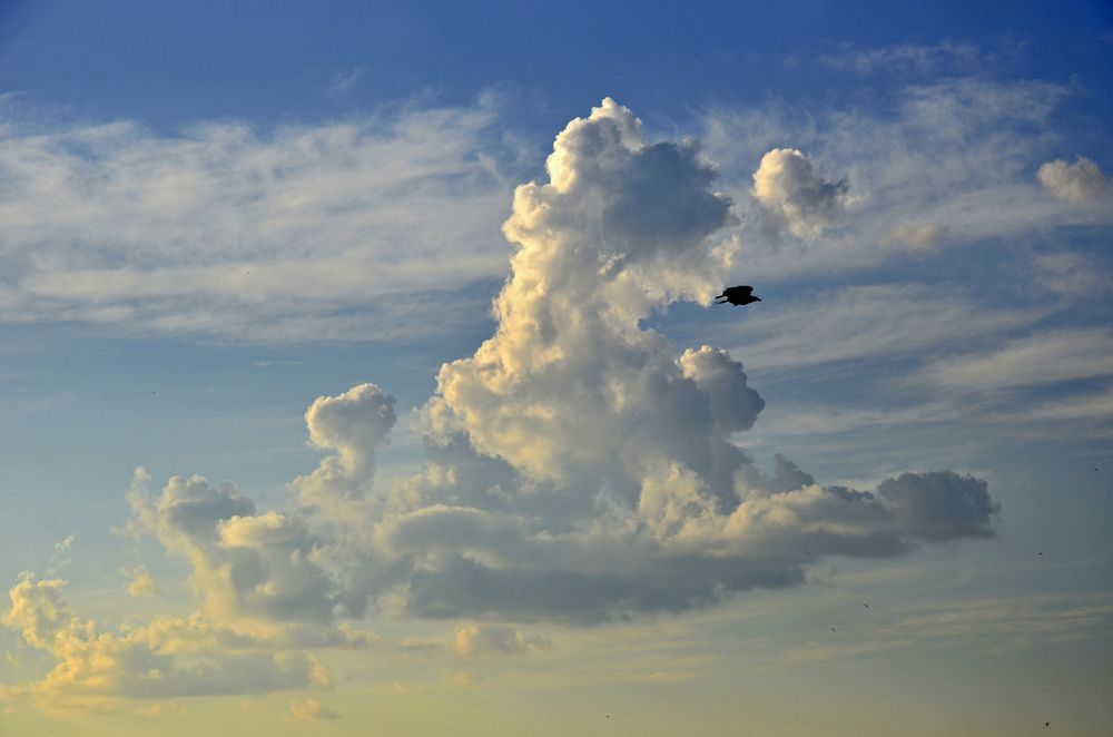 Фотография автора Антип