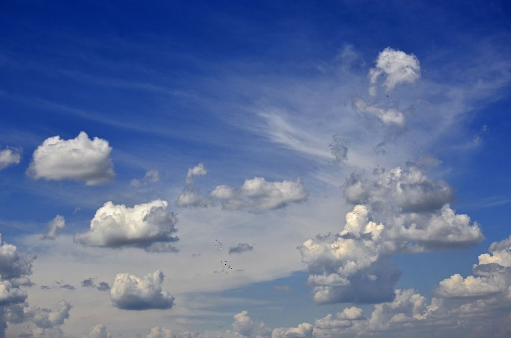 Фотография автора Антип