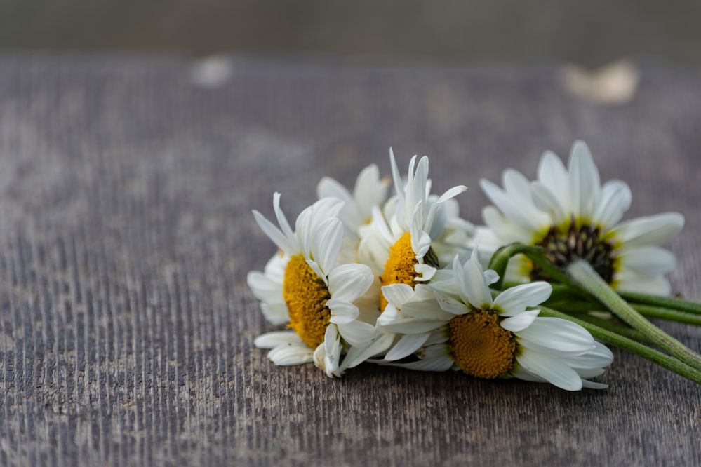 Photograph by Kseniya Platonova