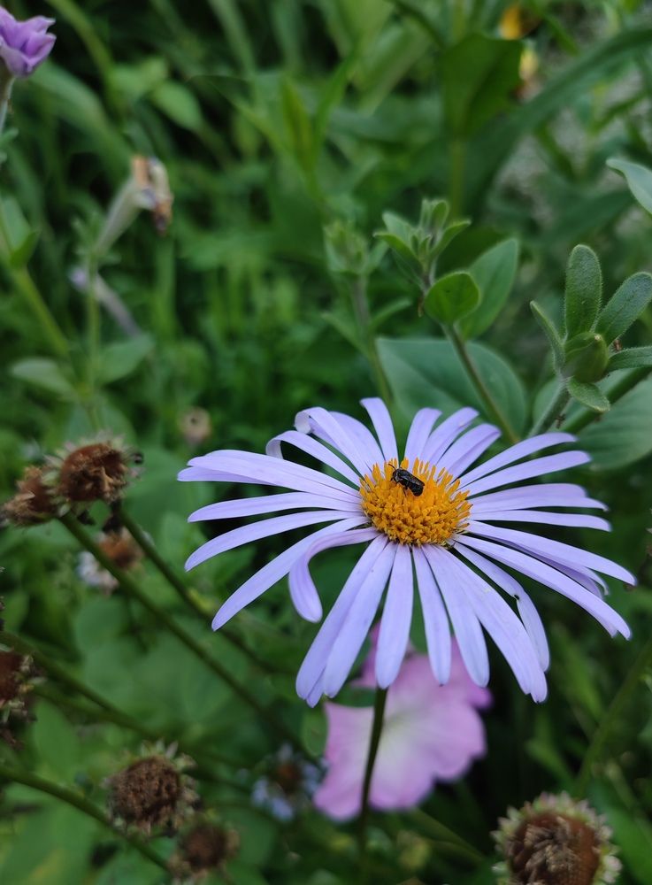 Photograph by Ирина К.