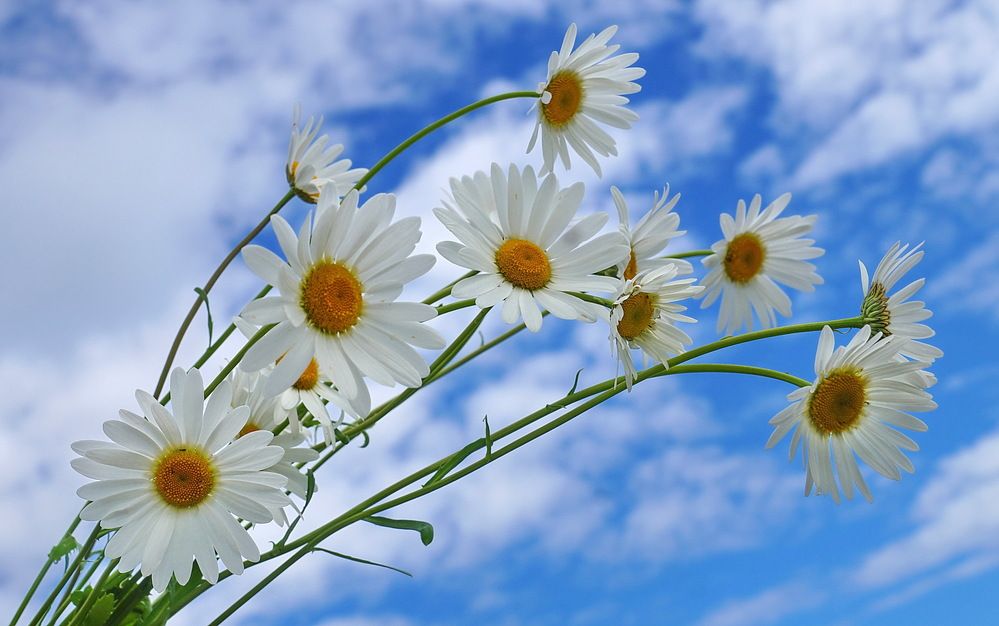 Photograph by Галина Кан