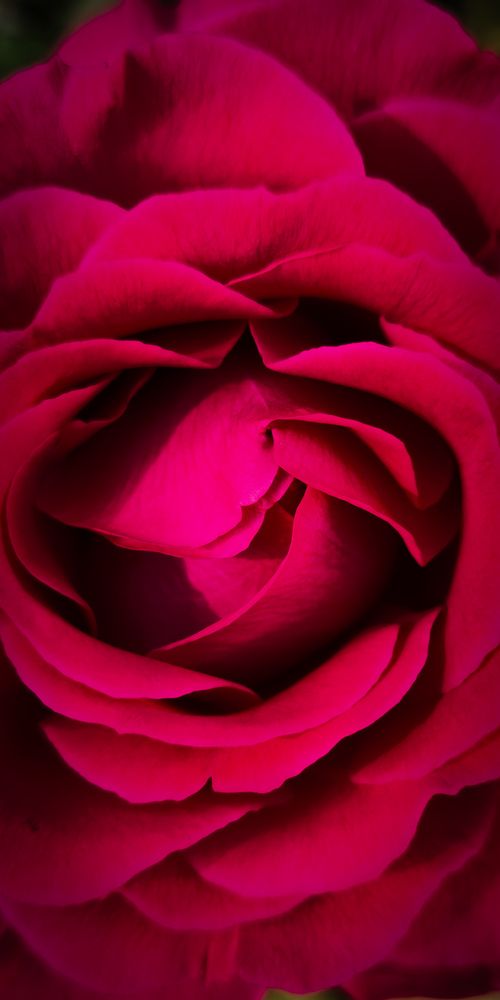 Photograph by Fernando Gabriel Castro Ortiz