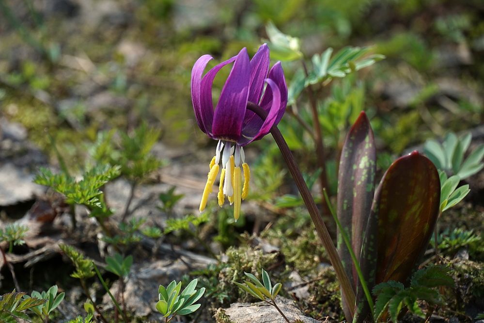 Photograph by Галина Кан