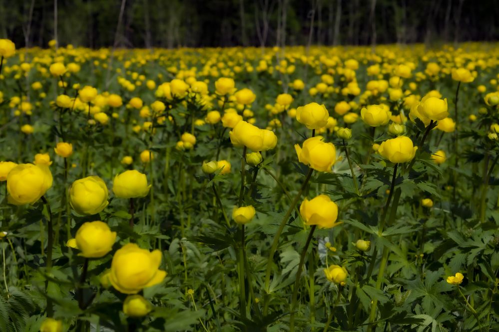 Photograph by Александр