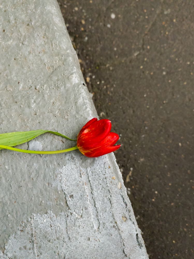 Photograph by Павел Герасимов