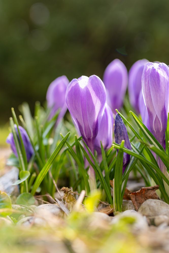 Photograph by Anton Leonchikov