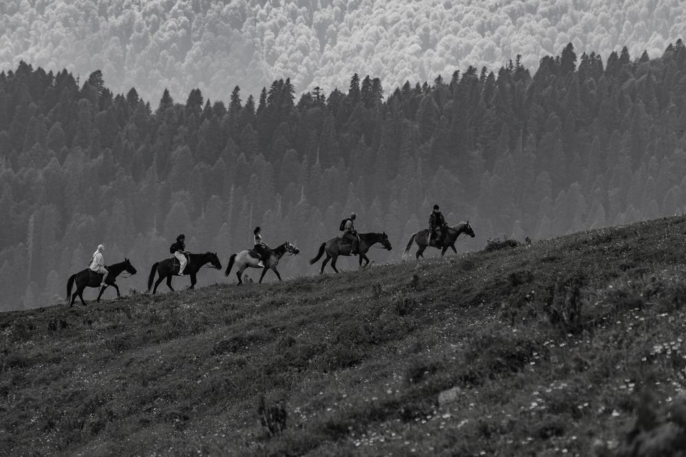 Photograph by Kseniya Platonova