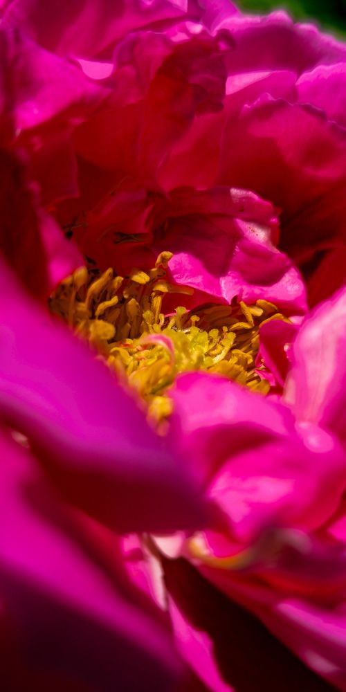 Photograph by Fernando Gabriel Castro Ortiz