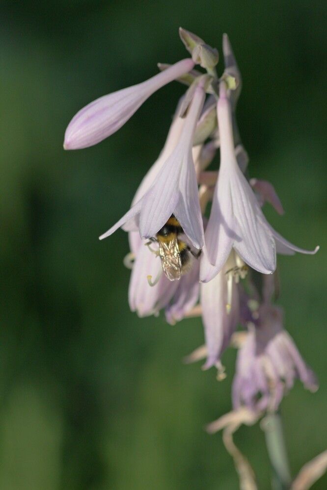 Фотография автора Геннадий Титов