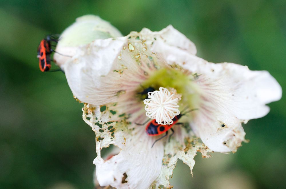 Photograph by Анна Потапова