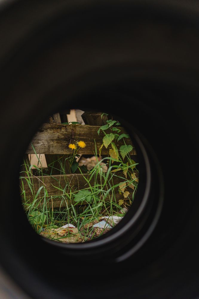 Фотография автора Мария Шишкина