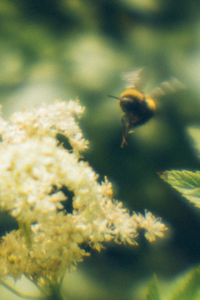 Фотография автора Мария Шишкина