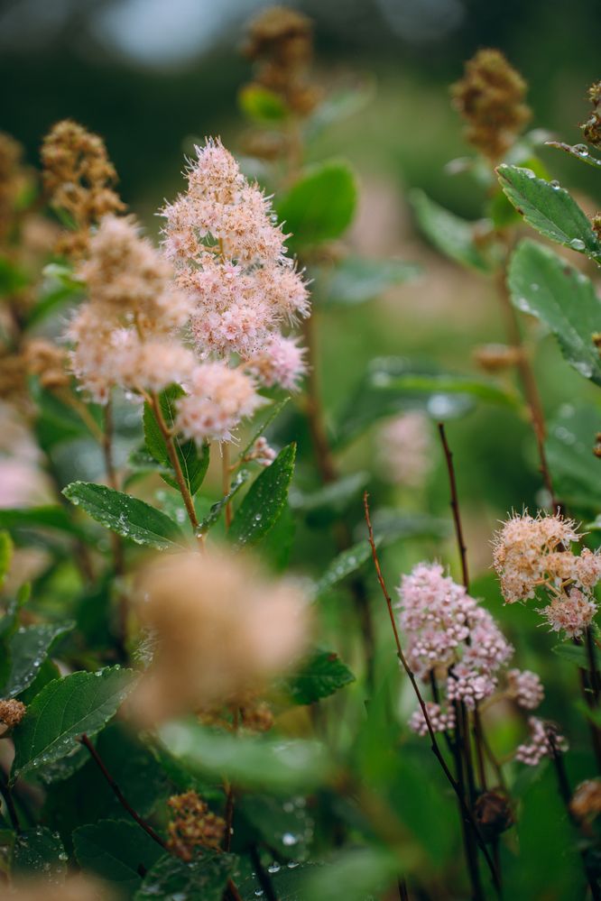 Фотография автора Мария Шишкина