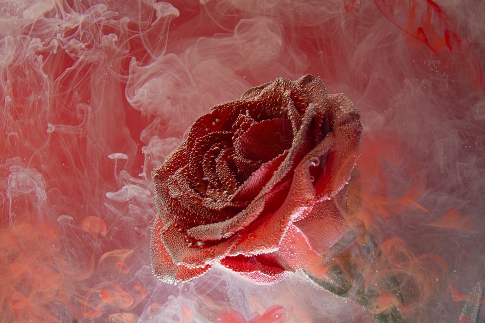 Photograph by Игорь Смирнов