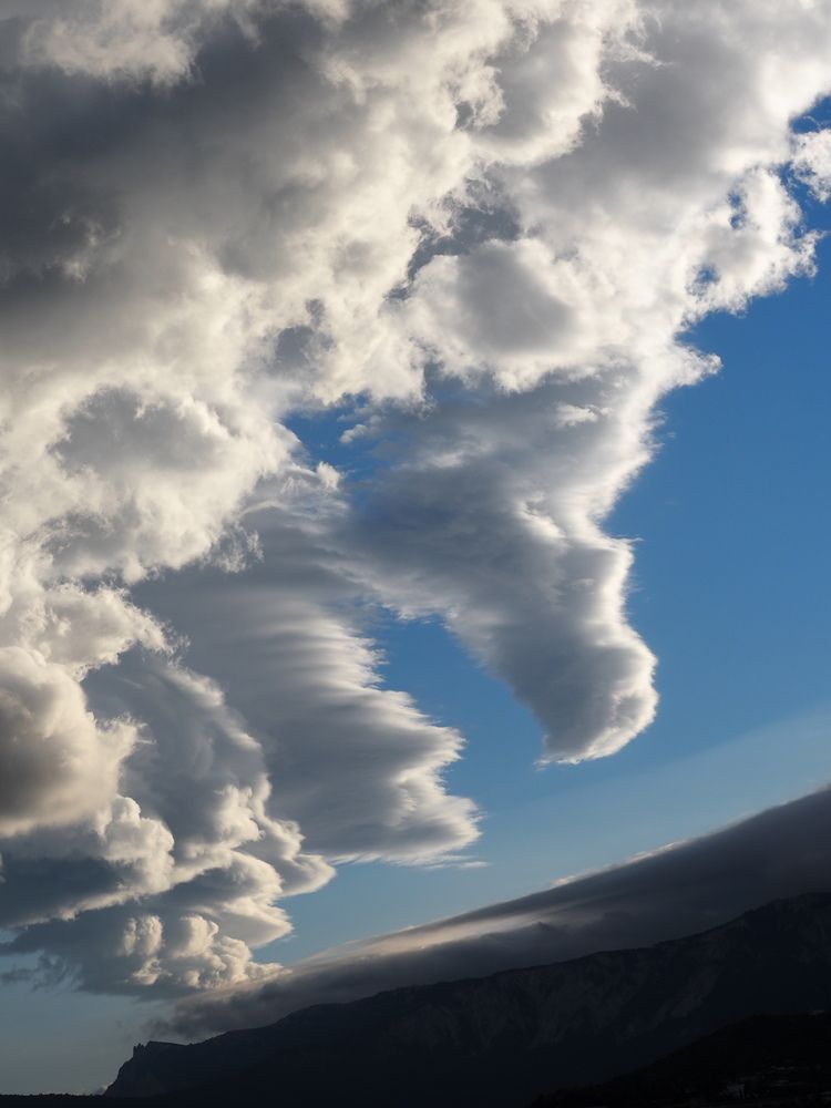 Photograph by Любовь