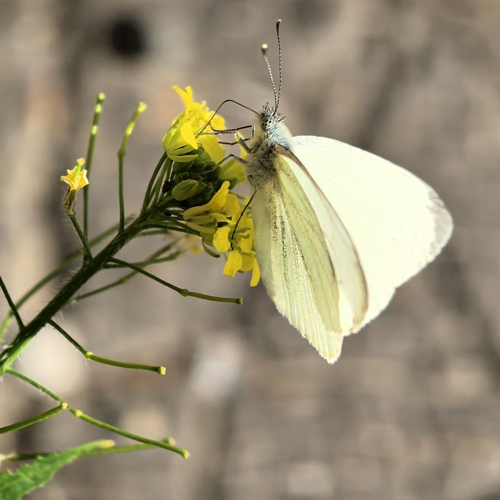 Photograph by Юрий Полушин