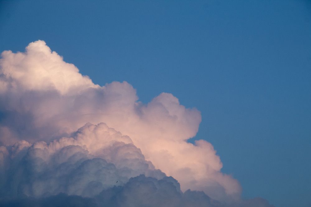 Photograph by Хайбуллина Флора