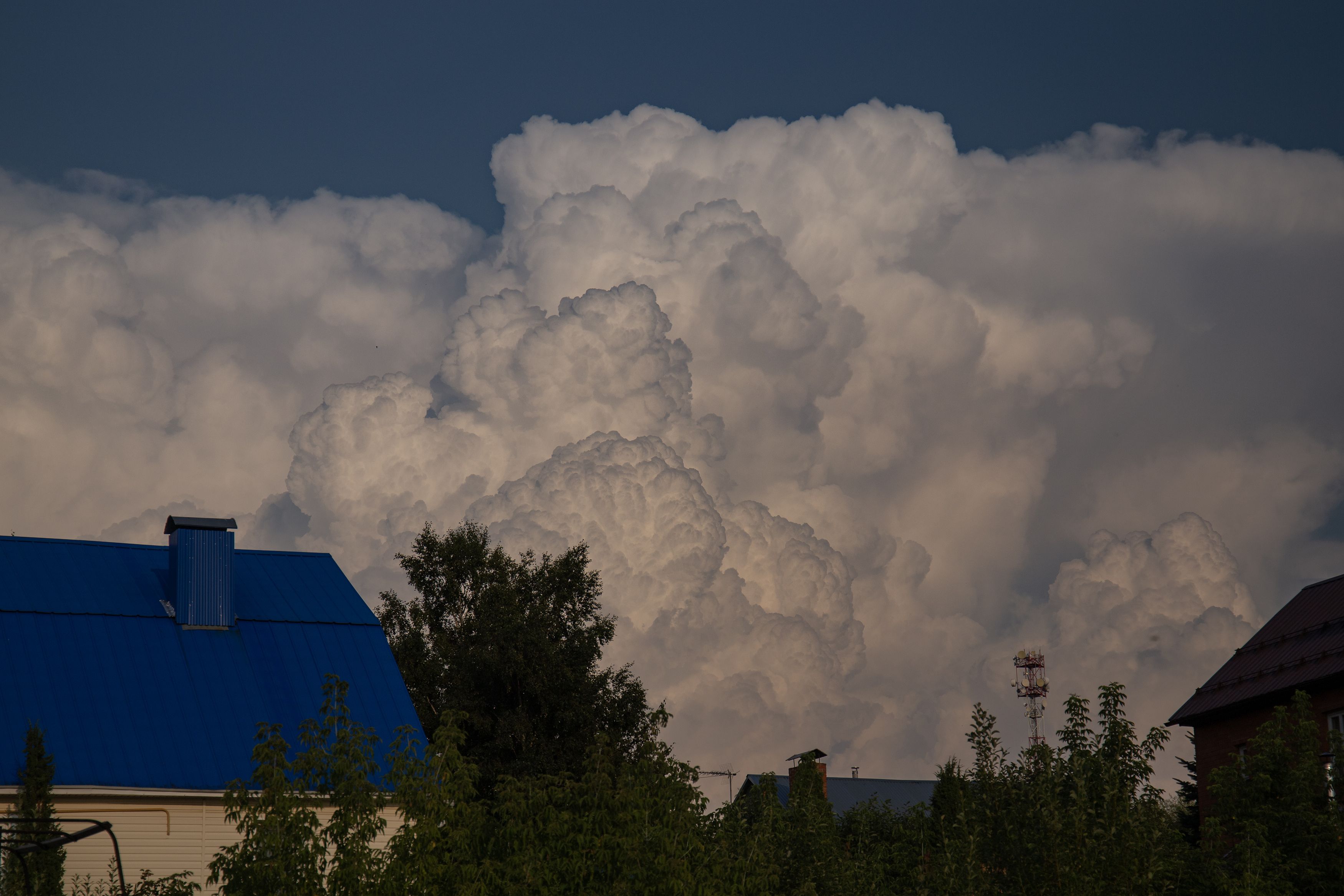 Photograph by Светлана Карнаух