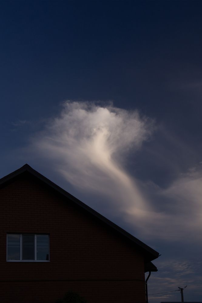 Photograph by Светлана Карнаух