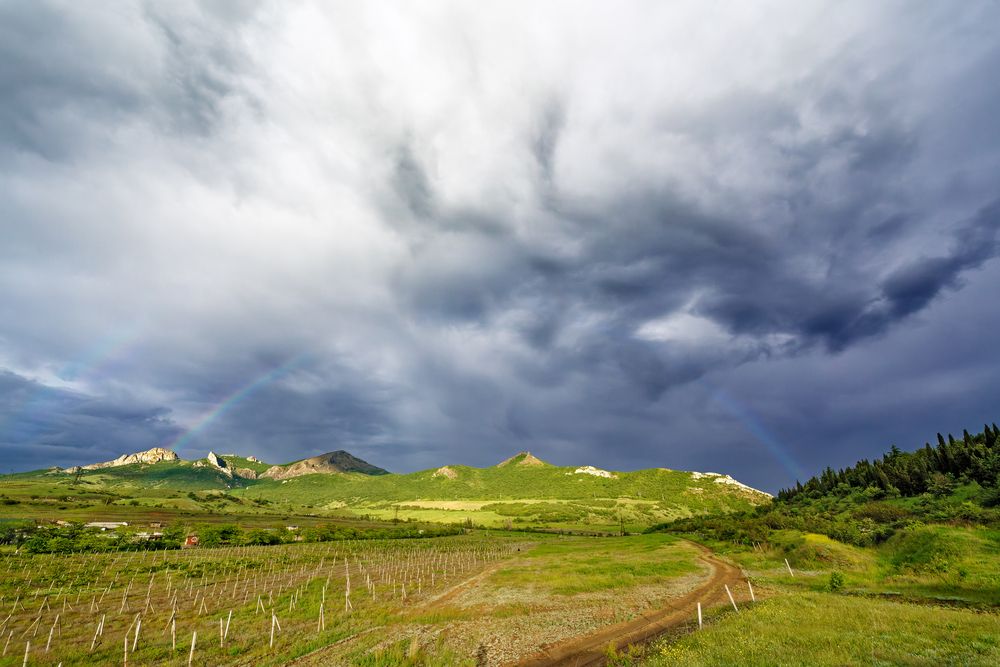 Усталая собака на радуге