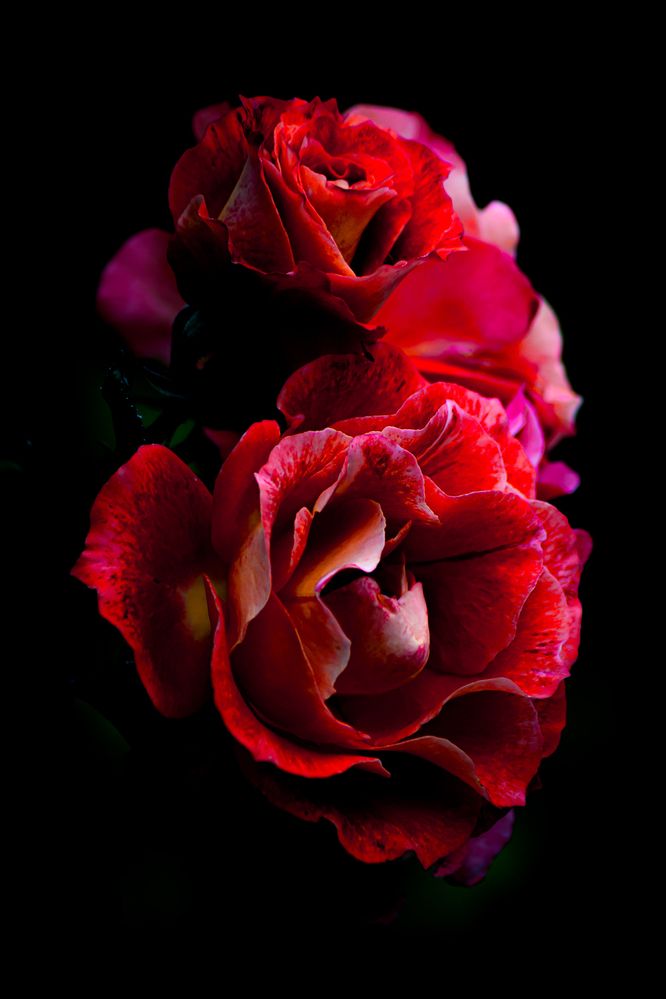 Photograph by Fernando Gabriel Castro Ortiz