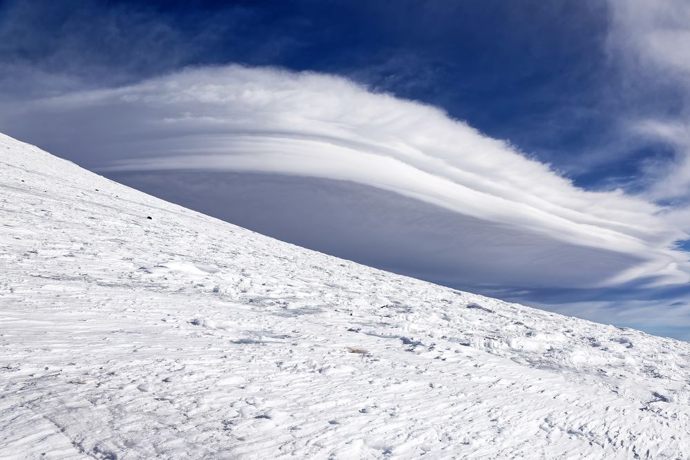 Две белых стихии